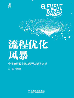 cover image of 流程优化风暴